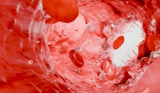 Ενδοσκοπική Αιμόσταση